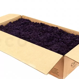 Lichene stabilizzato Viola (Cartone Sfuso)