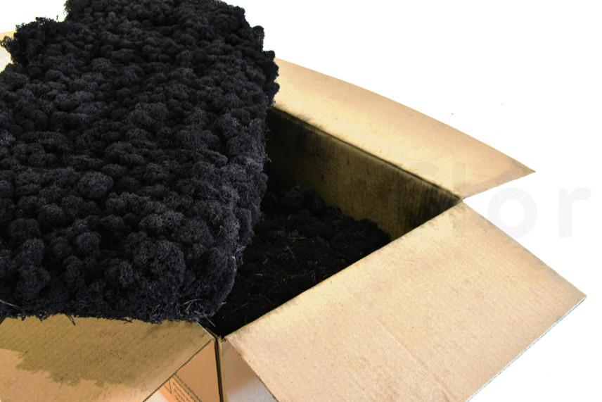 Lichene Stabilizzato - Cartone sfuso - Black