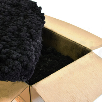 Lichene Stabilizzato - Cartone sfuso - Black