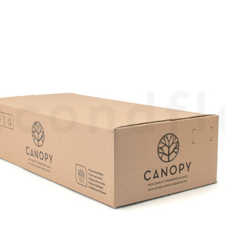 Liquen preservado - Cartón a granel - Black