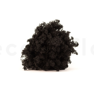 Lichene Stabilizzato - Cartone sfuso - Nero