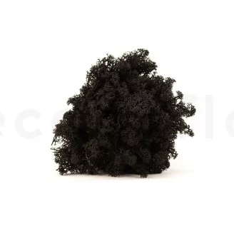 Preserved Reindeer Moss Black (Bulk Box)