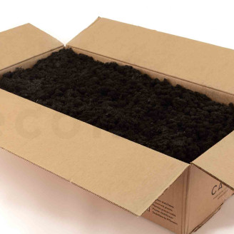 Preserved Reindeer Moss - Bulk Box - Black