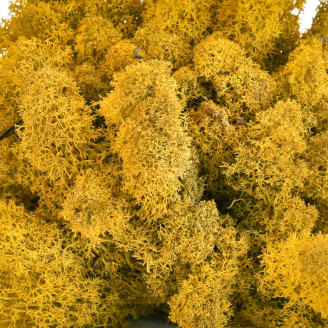 Liquen preservado - Cart&oacute;n a granel - Amarillo