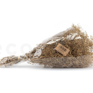 Gypsophile Mini Stabilisé - Doré