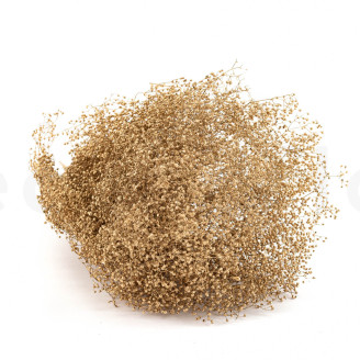 Mini Gypsophila Stabilized - Gold