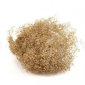 Preserved Mini Gypsophila Gold