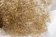 Preserved Mini Gypsophila Gold 3