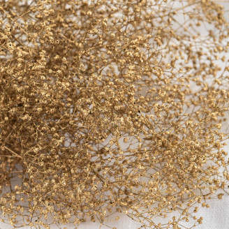 Mini Gypsophila Stabilized - Gold