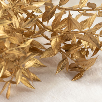 Ruscus Preserved - Gold