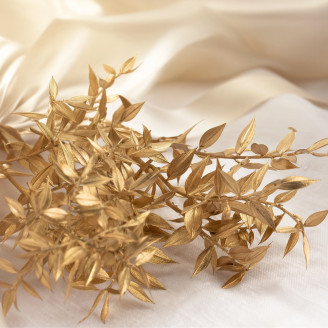 Konservierter Ruscus - Gold
