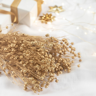 Dried Flax - Gold