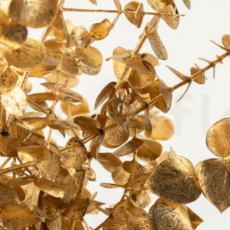 Preserved Baby Blue Eucalyptus Gold