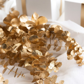 Eucalyptus Baby-blue Stabilized - Gold