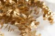 Preserved Baby Blue Eucalyptus Gold 8