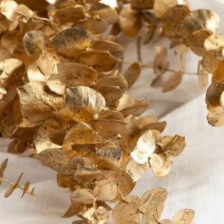 Preserved Baby Blue Eucalyptus Gold