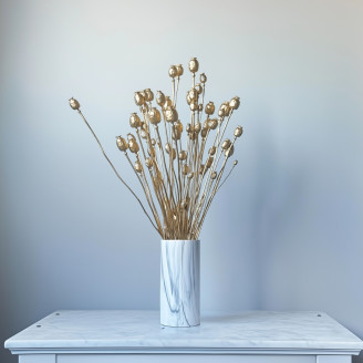 Getrockneter Mohn - Gold