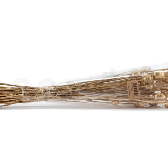 Getrockneter Mohn - Gold