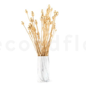 Dried Poppy - Gold