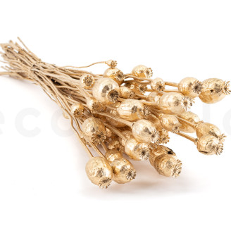 Dried Poppy - Gold