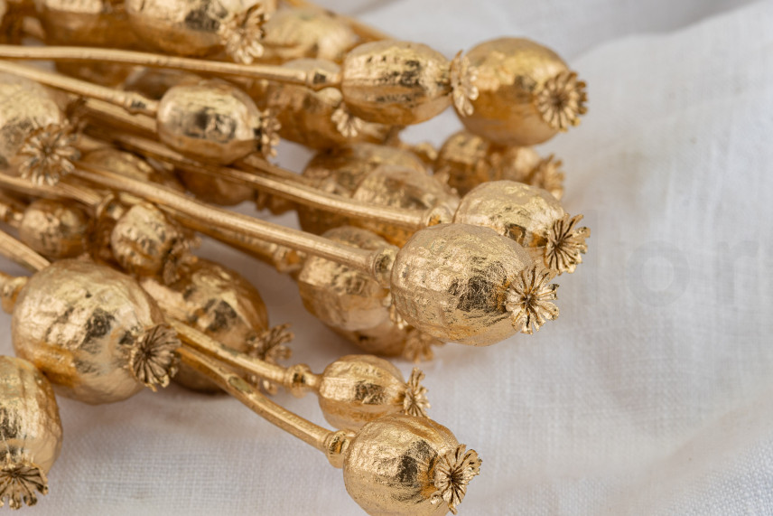 Dried Poppy - Gold