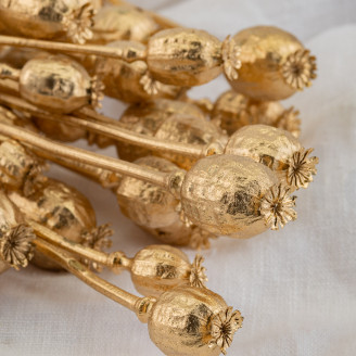 Dried Poppy - Gold