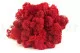 Lichene stabilizzato Rosso (Scatola) 1