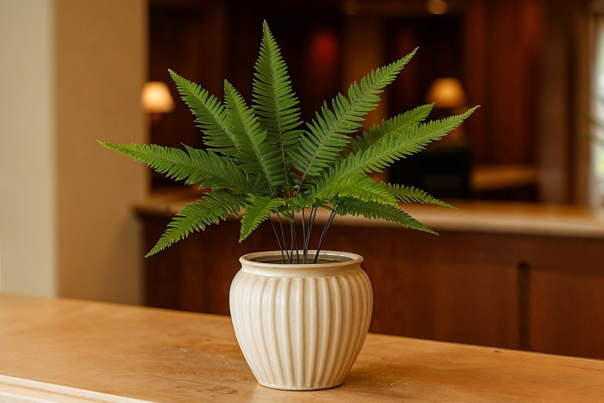 Preserved mountain fern - Green