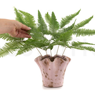 Konservierter Bergfarn - Gr&uuml;n