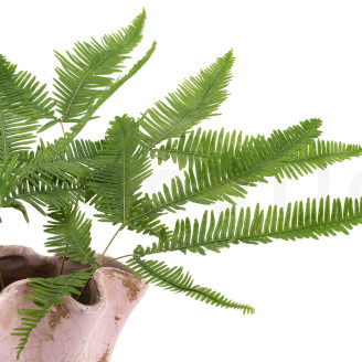 Preserved mountain fern - Green