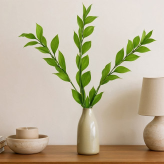 Ruscus Garden Stabilisé - 3 Unités - Vert Clair