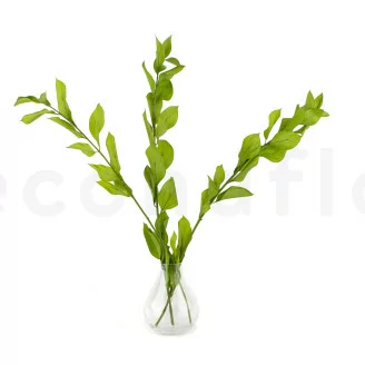 Preserved Ruscus Garden (x3)