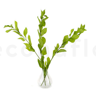 Ruscus Garden preservato - 3 unit&agrave; - Verde chiaro
