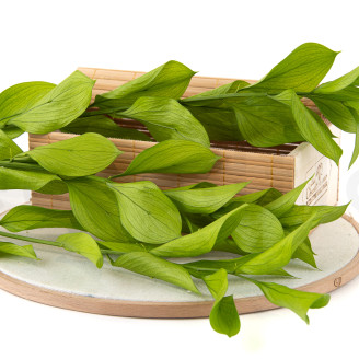 Ruscus Garden Stabilized - 3 Units - Light Green