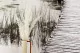 Preserved Foxtail White 4