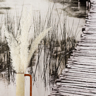 Foxtail Preserved - White