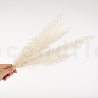 Foxtail Preserved - White