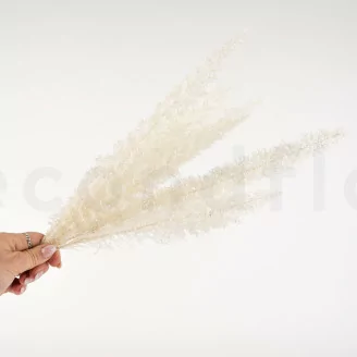 Konserviertes Foxtail Wei&szlig;