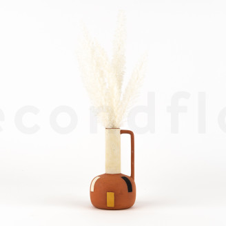 Foxtail Preserved - White