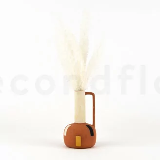 Foxtail stabilizzata Bianco