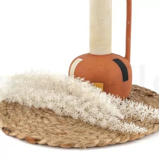 Foxtail stabilis&eacute; Blanc