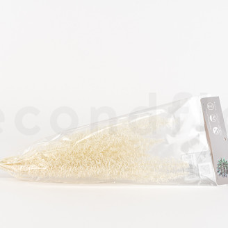 Foxtail Preserved - White