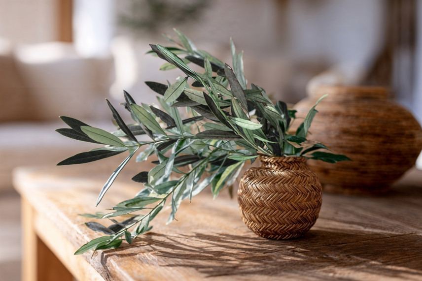 Branche d'Olivier stabilisée - Bouquet - Vert