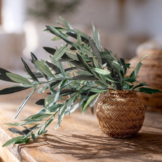 Branche d'Olivier stabilisée - Bouquet - Vert