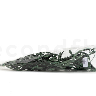 Preserved Olive Branch - Bouquet - Green