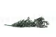 Rama de Olivo preservada 10