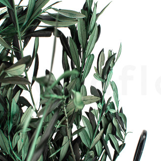 Olivo stabilizzato - Mazzo - Verde