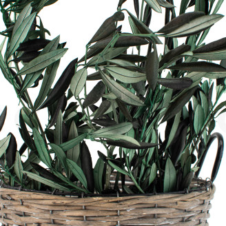 Preserved Olive Branch - Bouquet - Green