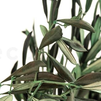 Branche d'Olivier stabilisée - Bouquet - Vert
