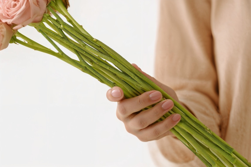 Flower stem preserved - 10 Stems - Green